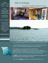 sde 3.0 workshop flyer thumbnail